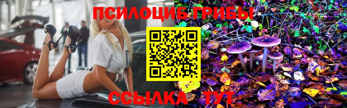 Галлюциногенные грибы ЛСД Александров