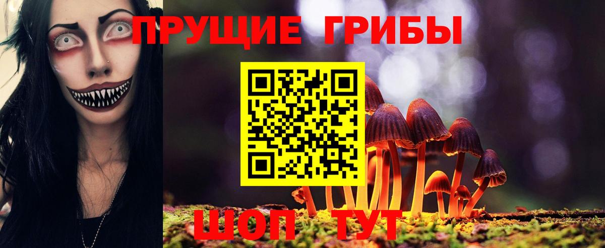 Александров  Псилоцибиновые грибы мицелий  Вход с VPN 
